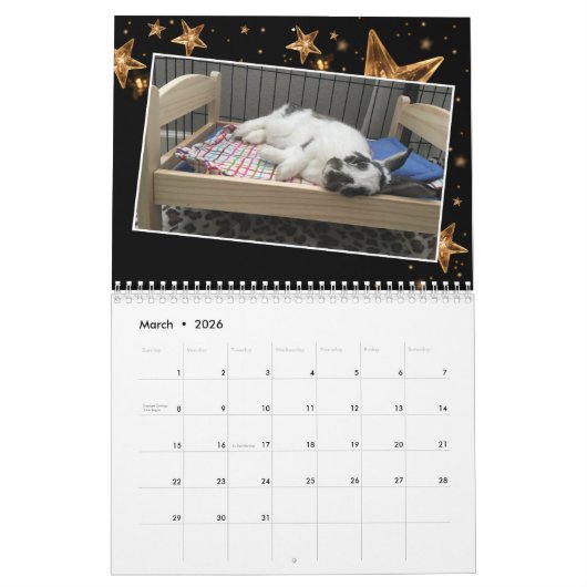 2020 Bunny Rescue & Education Kalender (Mar 2026)