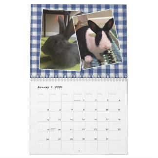 2020 Bunny Rescue & Education Kalender