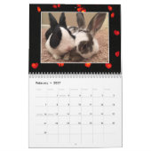 2020 Bunny Rescue & Education Kalender (Feb 2027)