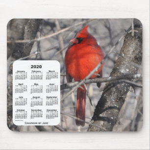 2020 Cardinaal vogelkalender van Janz Muismat