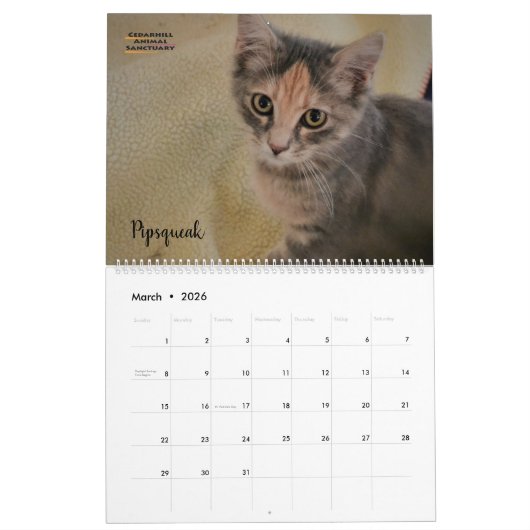 2020 Cedarhill kalender (Mar 2026)