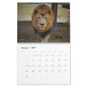 2020 Cedarhill kalender (Feb 2027)