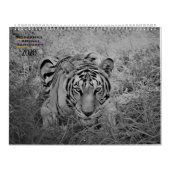 2020 Cedarhill kalender (Hoes)