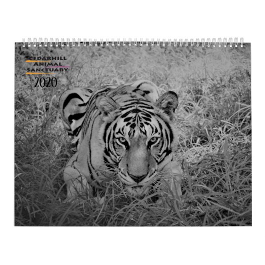 2020 Cedarhill kalender (Hoes)