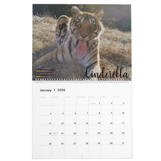 2020 Cedarhill kalender (Jan 2026)