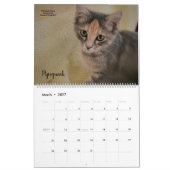 2020 Cedarhill kalender (Mar 2027)
