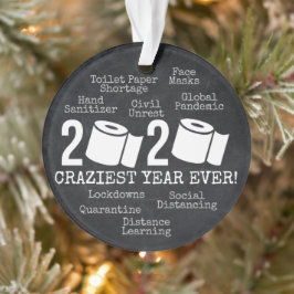 2020 Craziest Year Ever Funny Toilet Paper Ornament