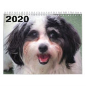 2020 Cute K-Cee Zuchon Dog Agenda Kalender (Hoes)