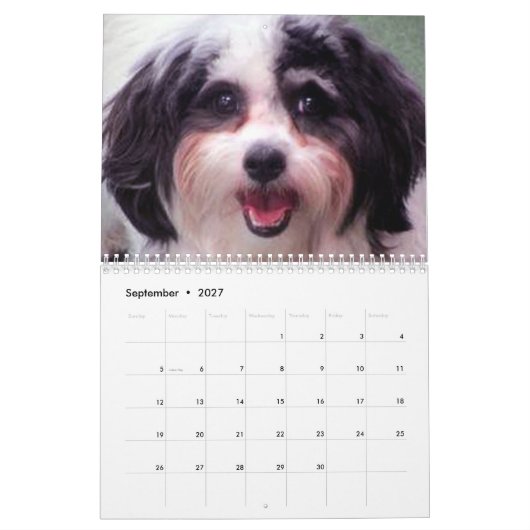 2020 Cute K-Cee Zuchon Dog Agenda Kalender (Sep 2027)