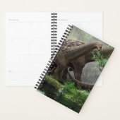 2020 DINOSAUR WERELD dagelijks Planner (Display)