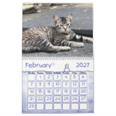 2020 Feral Cats Calendar, The Feral Life Kalender (Feb 2027)