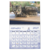 2020 Feral Cats Calendar, The Feral Life Kalender (Jan 2027)
