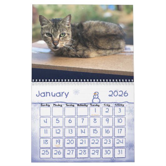 2020 Feral Cats Calendar, The Feral Life Kalender (Jan 2026)