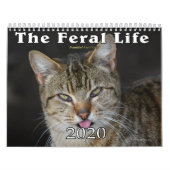 2020 Feral Cats Calendar, The Feral Life Kalender (Hoes)