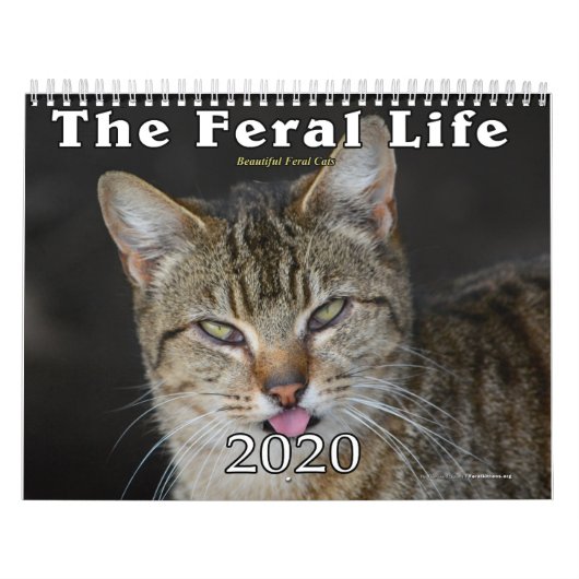 2020 Feral Cats Calendar, The Feral Life Kalender (Hoes)