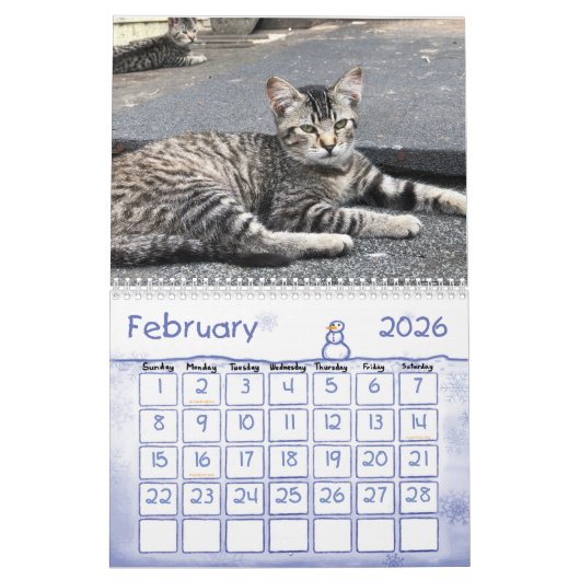 2020 Feral Cats Calendar, The Feral Life Kalender (Feb 2026)