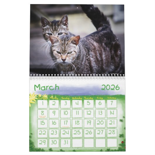 2020 Feral Cats Calendar, The Feral Life Kalender (Mar 2026)
