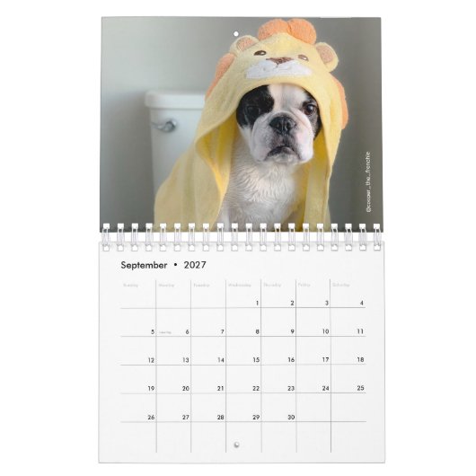 2020 French Bulldog Calendar - Cooper the Frenchie Kalender (Sep 2027)