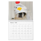 2020 French Bulldog Calendar - Cooper the Frenchie Kalender (Feb 2026)