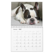 2020 French Bulldog Calendar - Cooper the Frenchie Kalender (Jan 2027)