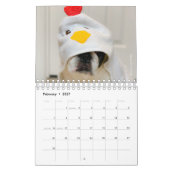 2020 French Bulldog Calendar - Cooper the Frenchie Kalender (Feb 2027)