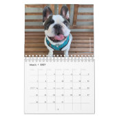 2020 French Bulldog Calendar - Cooper the Frenchie Kalender (Mar 2027)