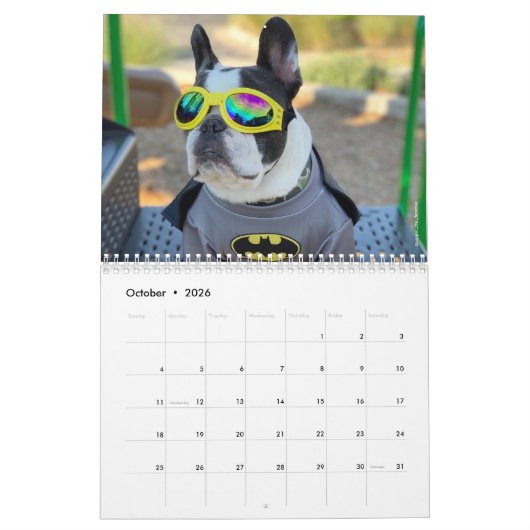 2020 French Bulldog Calendar for Hondenliefhebbers Kalender (Okt 2026)