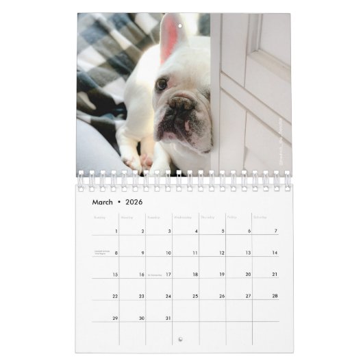 2020 French Bulldog Calendar-Fredrick the Frenchie Kalender (Mar 2026)