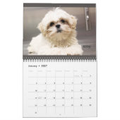 2020 Granite Hills Animal Care Wall kalender (Jan 2027)