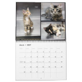 2020 Granite Hills Animal Care Wall kalender (Mar 2027)