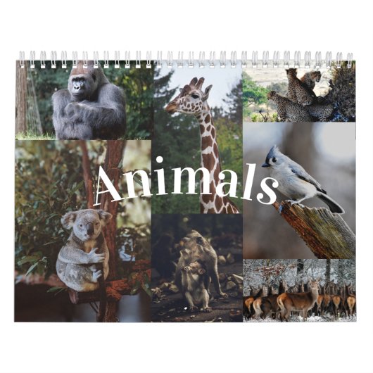 2020 Huis/Kantoor Muur Kalender Dierenkalender (Hoes)