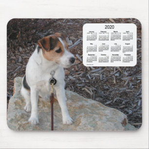 2020 Jack Russell Terrier Dog Agenda van Janz Muismat