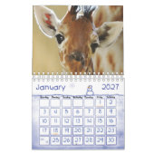2020 Kalender Giraffe (Jan 2027)