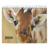 2020 Kalender Giraffe (Hoes)