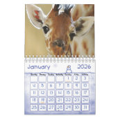 2020 Kalender Giraffe (Jan 2026)
