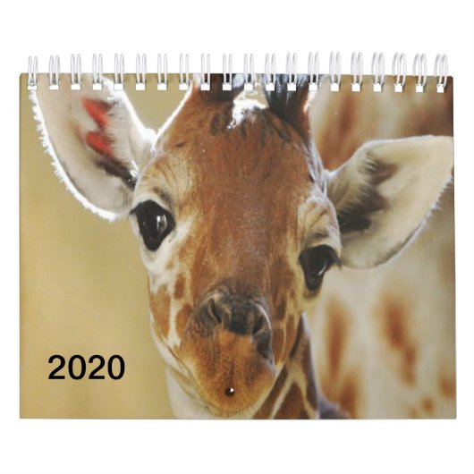 2020 Kalender Giraffe (Hoes)