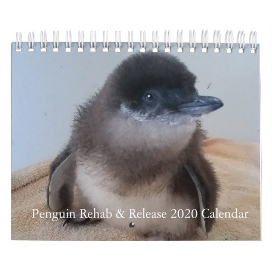 2020 Little Penguin Calendar Kalender (Hoes)