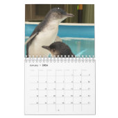 2020 Little Penguin Calendar Kalender (Jan 2026)