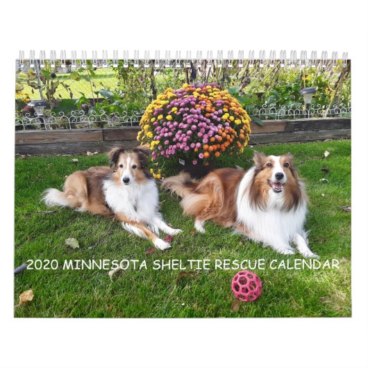 2020 MINNESOTA SHELTIE RESCUE CALENDAR KALENDER (Hoes)