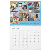 2020 MINNESOTA SHELTIE RESCUE CALENDAR KALENDER (Mar 2027)