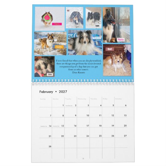 2020 MINNESOTA SHELTIE RESCUE CALENDAR KALENDER (Feb 2027)