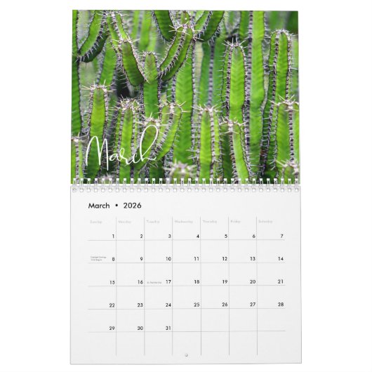 2020 Modern Script Succulenten en Cactus Kalender (Mar 2026)