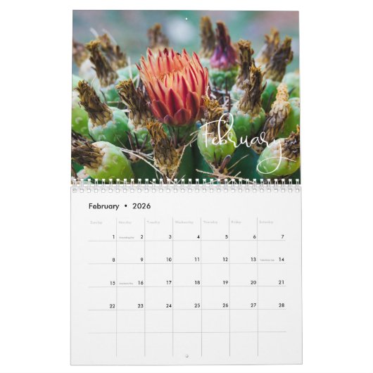 2020 Modern Script Succulenten en Cactus Kalender (Feb 2026)