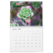 2020 Modern Script Succulenten en Cactus Kalender (Jan 2027)
