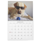 2020 Oli de Golden Labrador Kalender (Mar 2027)