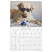 2020 Oli de Golden Labrador Kalender (Mar 2026)