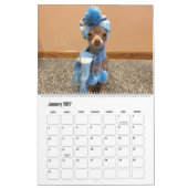 2020 Oscar de blauwe agenda van de chihuahua Kalender (Jan 2027)