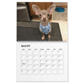 2020 Oscar de blauwe agenda van de chihuahua Kalender (Mar 2027)