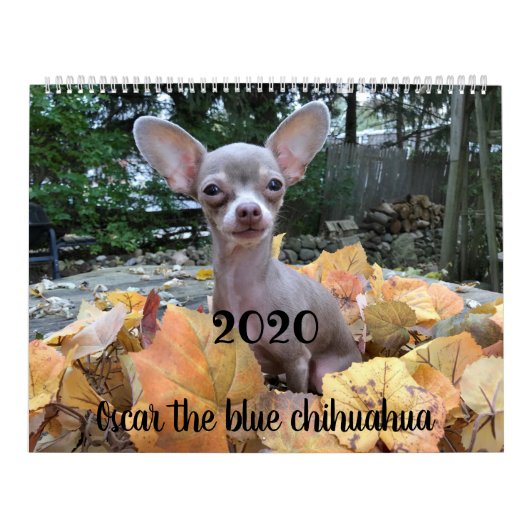 2020 Oscar de blauwe agenda van de chihuahua Kalender (Hoes)
