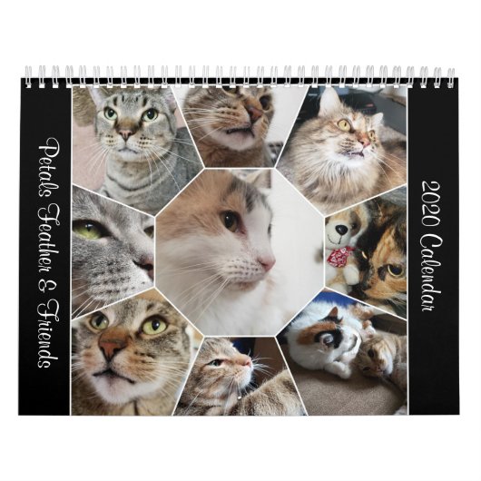 2020 Petals Veer en Vrienden Agenda Kalender (Hoes)